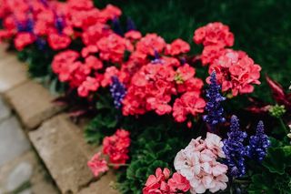 意大利威尼斯城堡花店