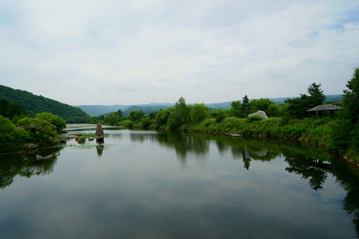 龙已经是延边艺术、自然、水、倒影、天空、植物、树木的一员