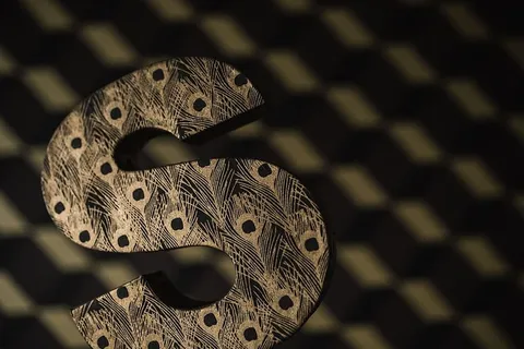 装饰性字母“S”