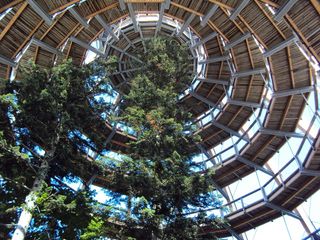 步行道，环绕，高，建筑结构，低角度视图，建筑，树木，白天