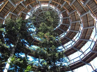 步行道，环绕，高，建筑结构，低角度视图，建筑，树木，白天