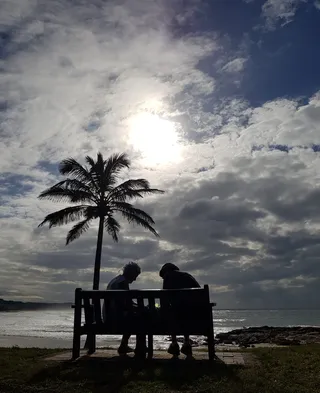 南非, 德班, 157 海洋露台, 棕榈树, 阳光明媚, 海滩, silhoettes, 留声机