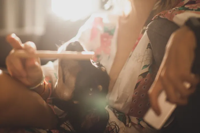 拿棍子的人，皮肤，衣服，衣服，人，人类，胡志明，越南