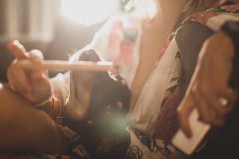 拿棍子的人，皮肤，衣服，衣服，人，人类，胡志明，越南