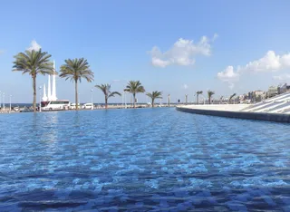 亚历山大，图书馆，埃及，天空，水景，热带气候，棕榈树，水