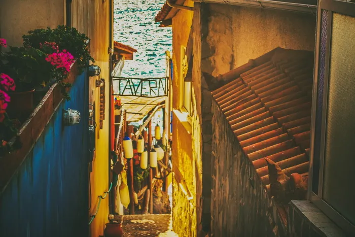 餐厅，taverna，希腊，arkoudi，假日，目的地，夏季，乡村