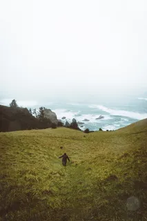 人,行走,草,旁边,海洋,自然,人,绿色 人,行走,草,旁边,海洋,自然,人,绿色