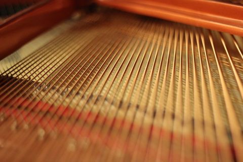 翅膀, 钢琴, 模糊, 模糊效果, 弦乐器, 乐器, 乐器弦, 串