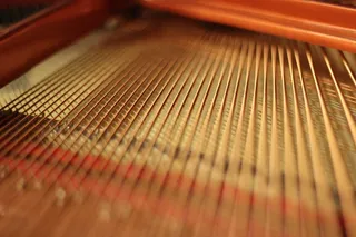 翅膀, 钢琴, 模糊, 模糊效果, 弦乐器, 乐器, 乐器弦, 串