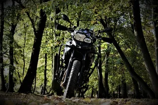 引擎, 宝马, f700gs, gs, 树, 植物, 自然, 树干