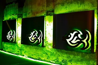 鱼，标志，广告，绿色，广告，照明，reklameschild，盾牌