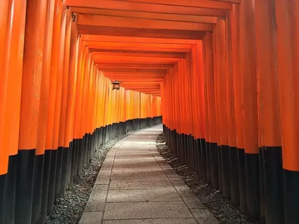 橙色,黑色,小径,神殿,伊纳里,小径,寺庙,宗教 橙色,黑色,小径,神殿,伊纳里,小径,寺庙,宗教