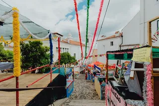 葡萄牙里斯本为圣安东尼盛宴装饰的街道