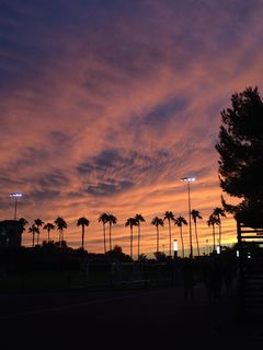 日落，亚利桑那州，凤凰城，棕榈树，天空，日落，亚利桑那州，云，西南