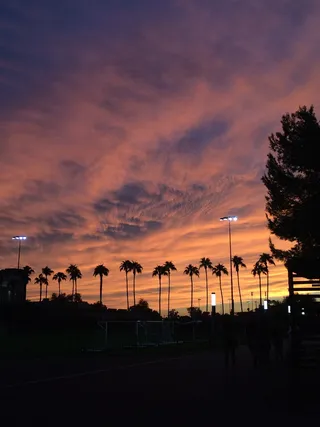 日落，亚利桑那州，凤凰城，棕榈树，天空，日落，亚利桑那州，云，西南