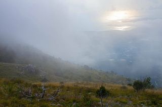 日落，雾，自然，风景，太阳，神秘，光，草