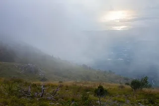日落，雾，自然，风景，太阳，神秘，光，草