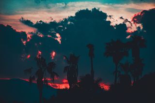 意大利，托尔托，颜色，颜色，树，自然，平静，喜怒无常