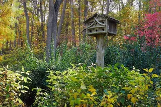 社区鸟类的鸟舍。