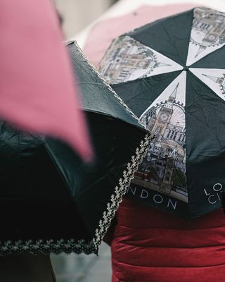 二，人，拿着，雨伞，人，笔记本电脑，设计，成人