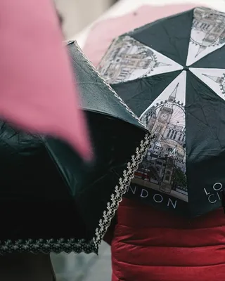 二，人，拿着，雨伞，人，笔记本电脑，设计，成人