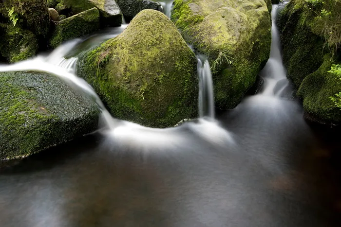 绿色、苔藓、溪流、水、自然、户外、运动、长时间暴露 绿色、苔藓、溪流、水、自然、户外、运动、长时间暴露