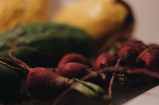 美国、荷兰、西葫芦、南瓜、花园、蔬菜、新鲜、泥土