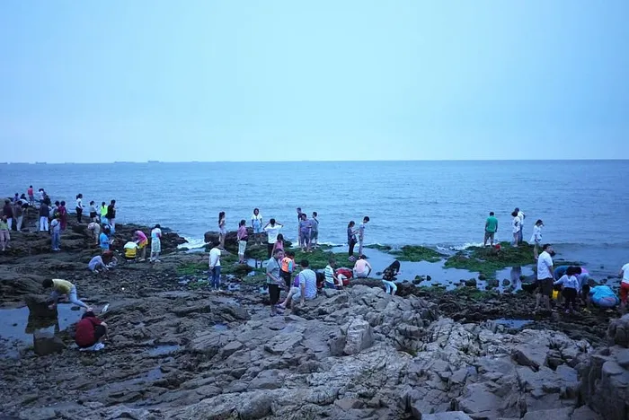 大海，清晨，游客，海，水，天空，海滩，陆地