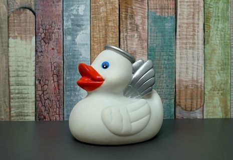 鸭子，翅膀罐，表面，橡胶鸭，安静的，天使，浴鸭，有趣的洗澡