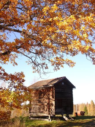 仓库，Tällberg，härberge，山谷，秋天，瑞典，旧，农场
