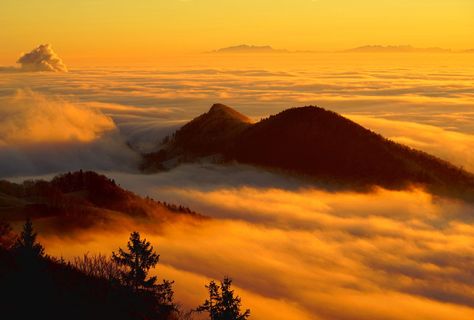山上的雾,雾,云,雾海,山,风景,霍姆伯格,塞尔瓦海洋 山上的雾,雾,云,雾海,山,风景,霍姆伯格,塞尔瓦海洋