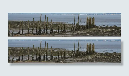 英国，戈德克利夫，木材，码头，曲线，泥，石头，海