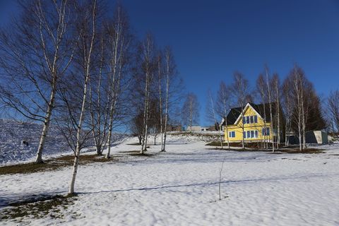 北海道，树，雪，光秃秃的树，天空，没有人，植物，冬天