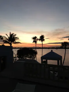 佛罗里达州马大拿州，日落，佛罗里达州马大拿州，棕榈树，树，剪影，旅游度假区