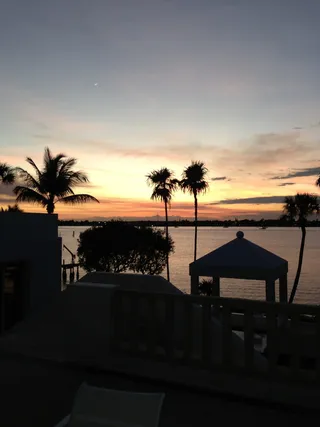 佛罗里达州马大拿州，日落，佛罗里达州马大拿州，棕榈树，树，剪影，旅游度假区