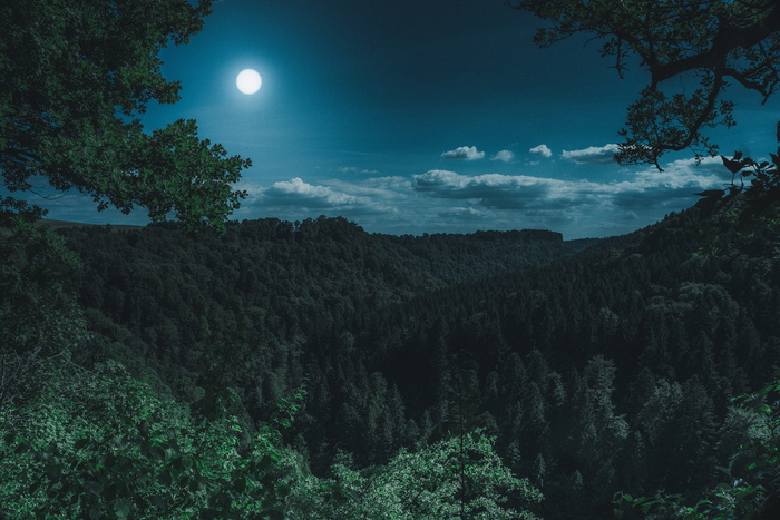 航空、摄影、森林、夜间、自然、旅行、全景、水域