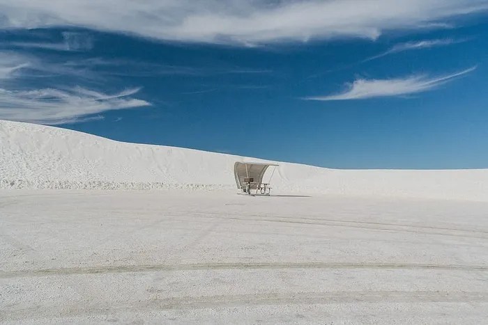 我们去野餐吧！