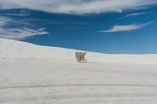 我们去野餐吧！