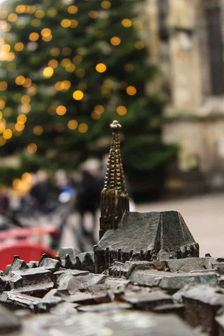 德国、明斯特、波克、大教堂、圣诞节、特写、教堂、树