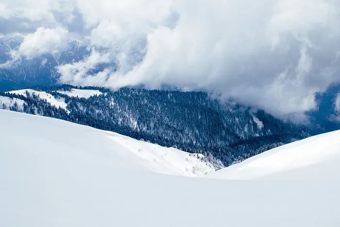 寒冷，森林，阳光，山脉，自然，山峰，山坡，雪