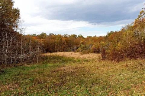 秋天的风景——森林中的清理