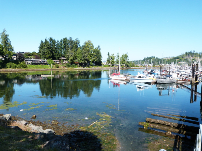 water，port hardy，marina，port，canada，british，columbia，vancouver