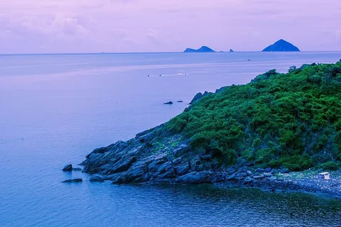 绿树，天空，旅行，颜色，光，越南，云，阳光