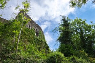 废墟，burgruine，砖石，石墙，植物，树木，天空，绿色