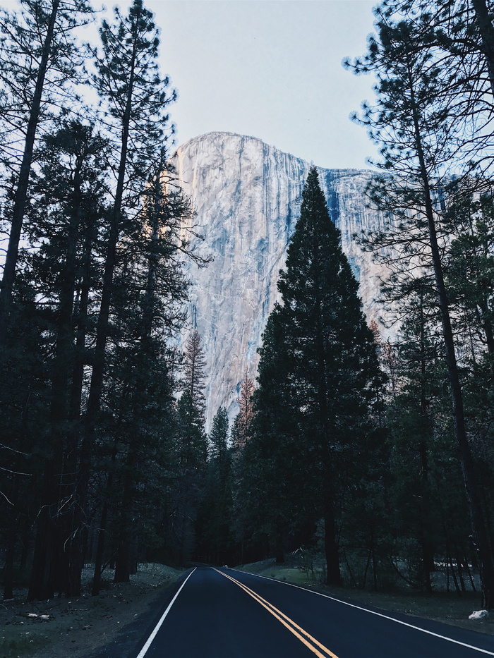 树和山的风景照片
