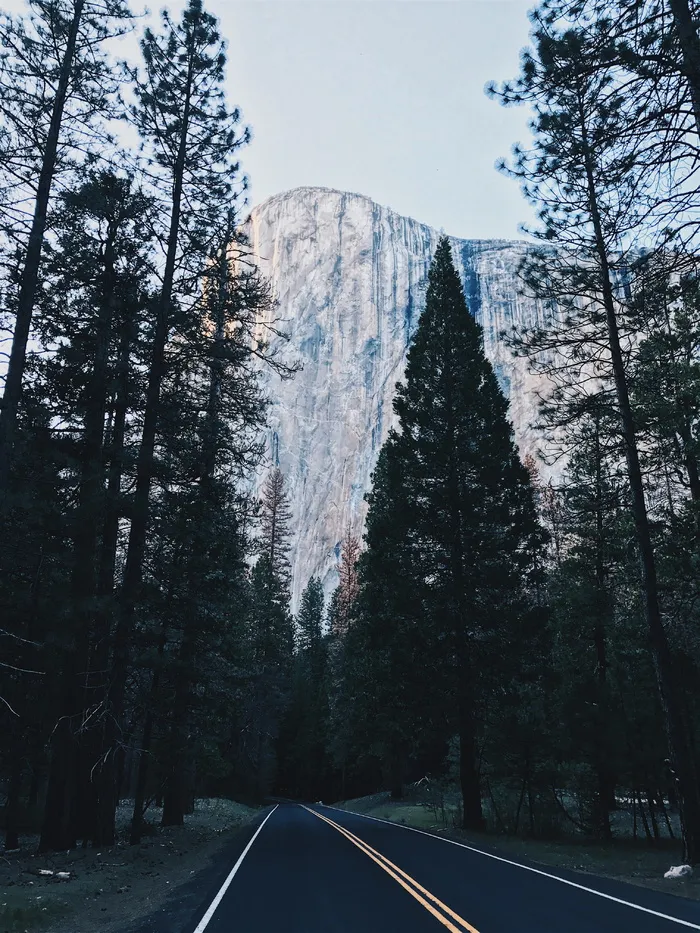 树和山的风景照片