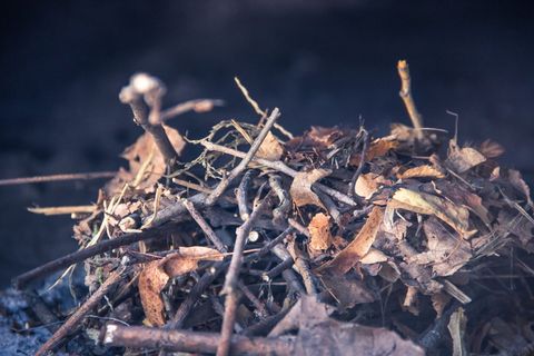 面包，炉子，火箱，火种，火，蚕豆，自然，燃烧