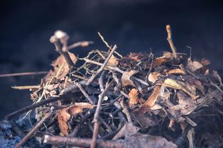 面包，炉子，火箱，火种，火，蚕豆，自然，燃烧