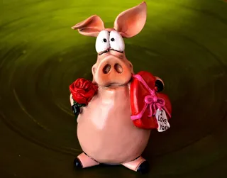 特写，照片，粉色，陶瓷，小猪，小猪，人物，爱