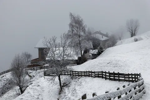 农场,冬天,雪,雾,灰色,寒冷,意大利南蒂罗尔 农场,冬天,雪,雾,灰色,寒冷,意大利南蒂罗尔